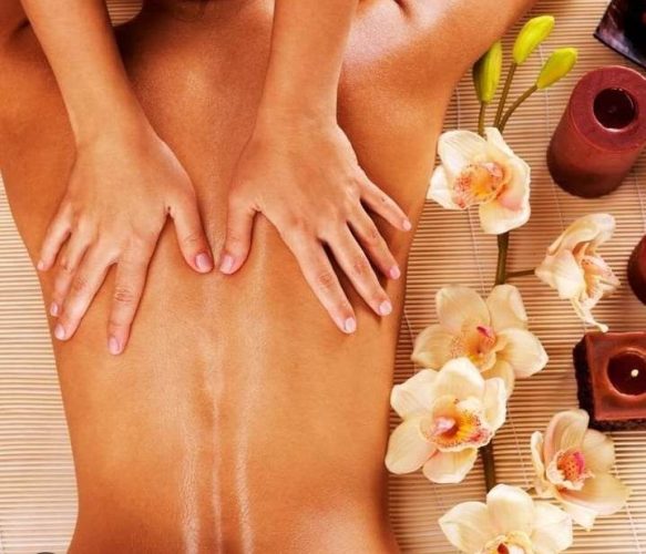 351686750_802739201410124_1872880577052717973_n(1)